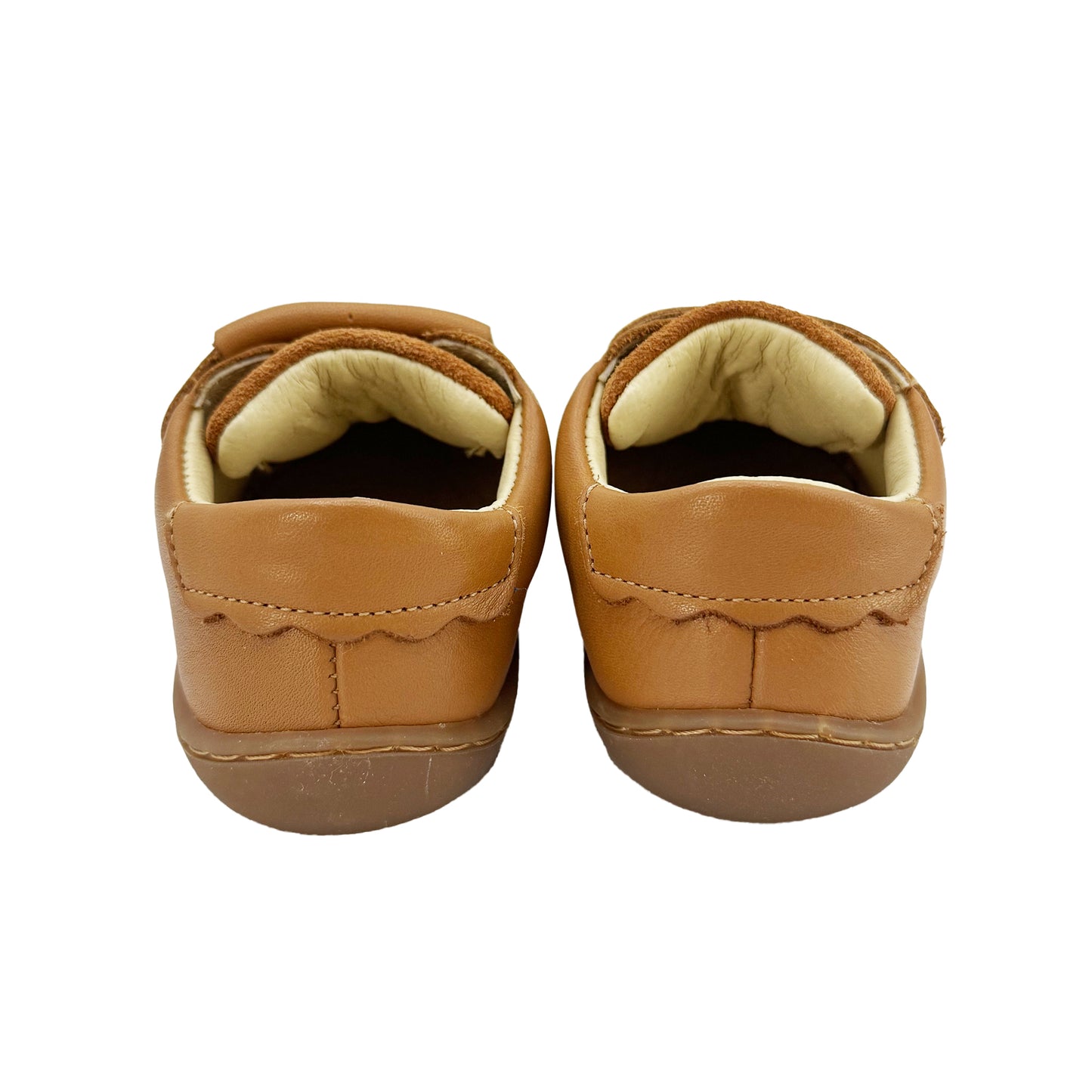 Carneiras Camel