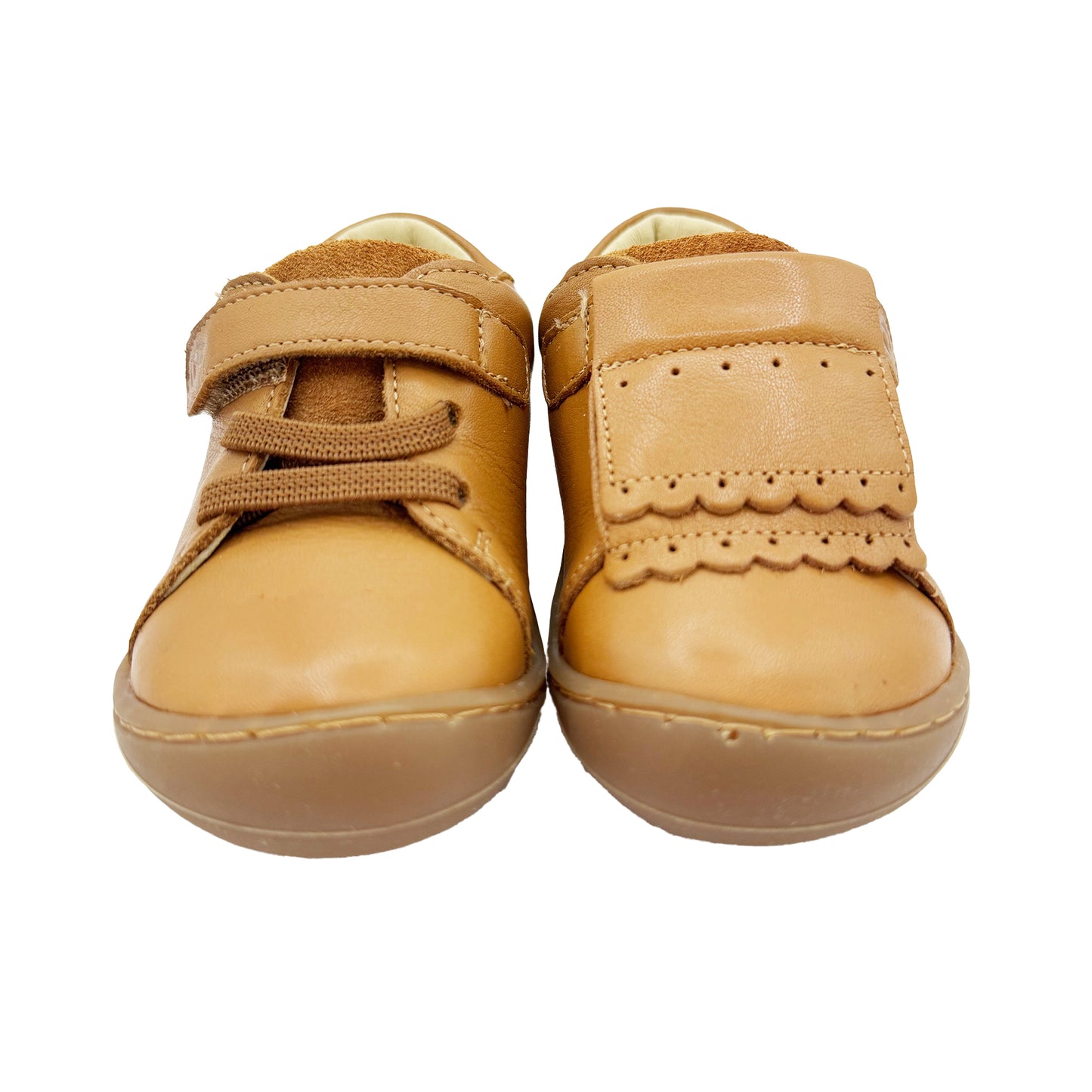 Carneiras Camel