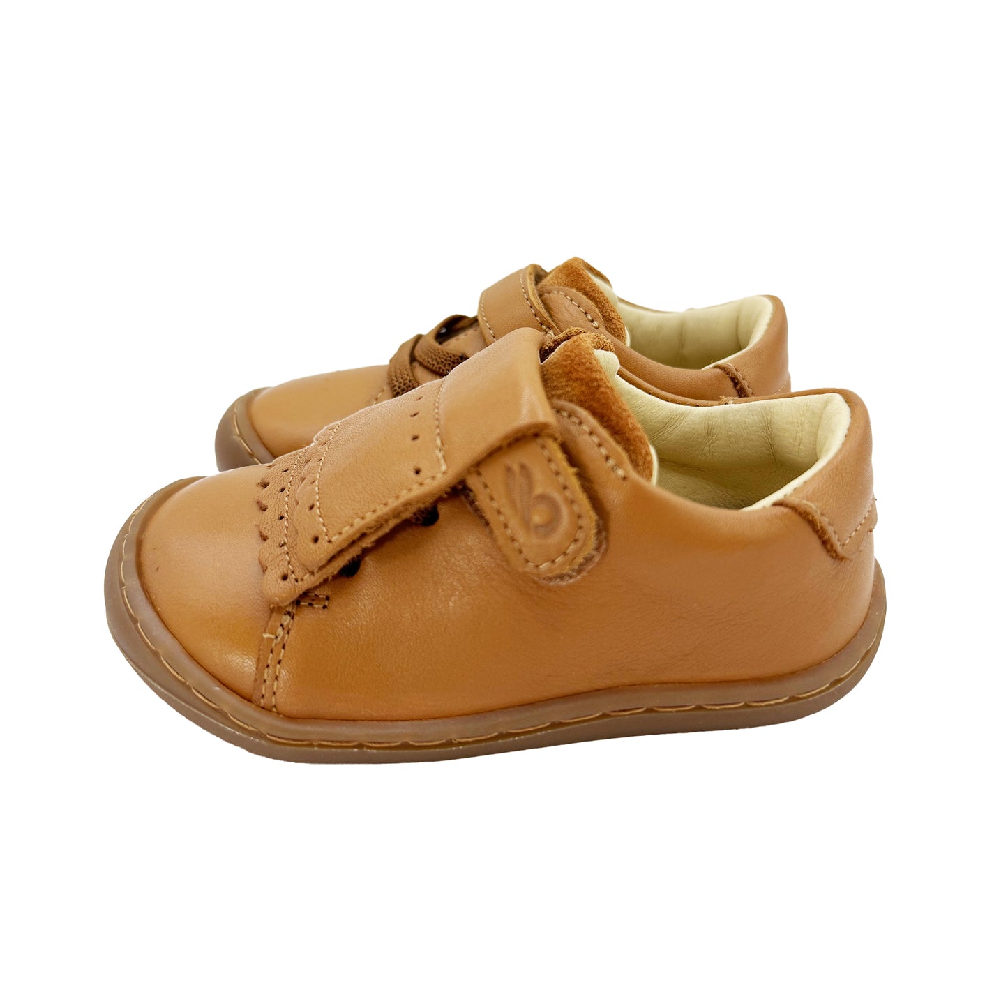 Carneiras Camel